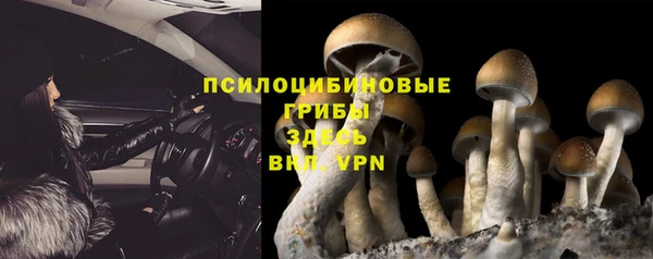 амфетамин Липки
