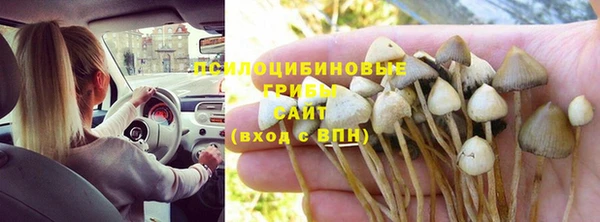 героин Алзамай