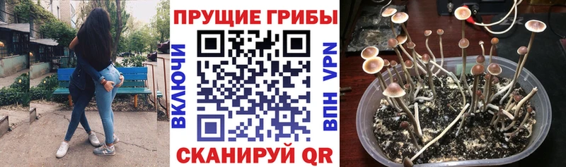 закладки  Белоозёрский  OMG рабочий сайт  Галлюциногенные грибы прущие грибы 